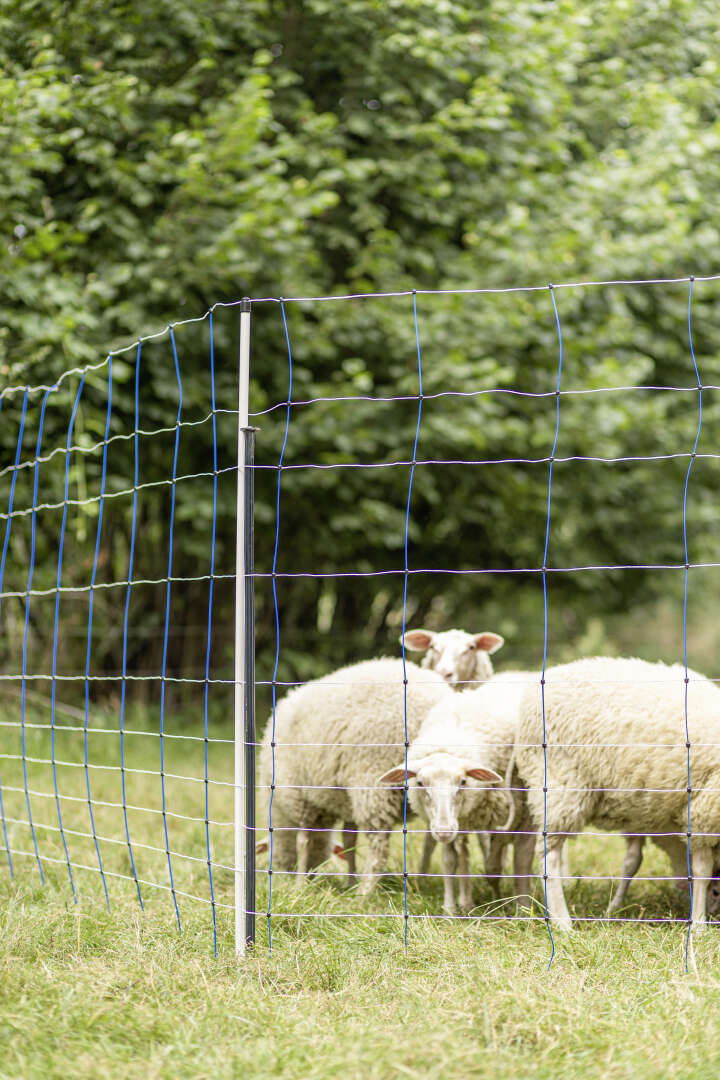 AKO Unterstützungspfahl für Weidenetze